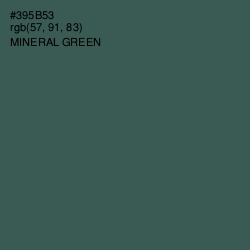 #395B53 - Mineral Green Color Image