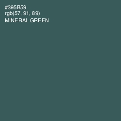 #395B59 - Mineral Green Color Image