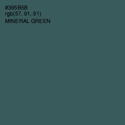 #395B5B - Mineral Green Color Image