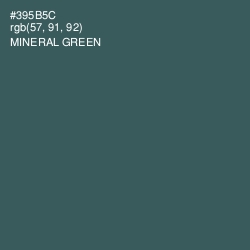 #395B5C - Mineral Green Color Image