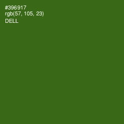 #396917 - Dell Color Image