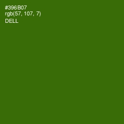 #396B07 - Dell Color Image