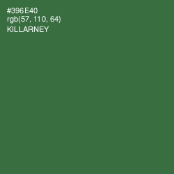 #396E40 - Killarney Color Image