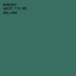 #396E62 - William Color Image