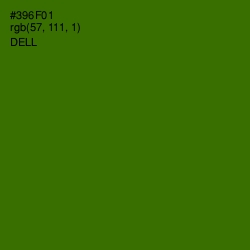 #396F01 - Dell Color Image