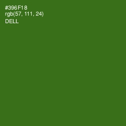 #396F18 - Dell Color Image