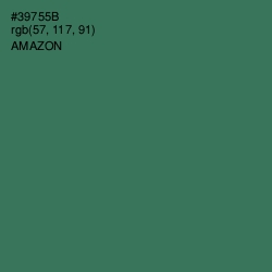 #39755B - Amazon Color Image