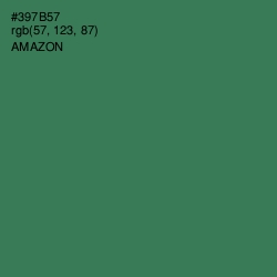 #397B57 - Amazon Color Image