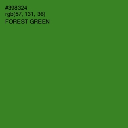 #398324 - Forest Green Color Image