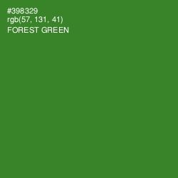 #398329 - Forest Green Color Image