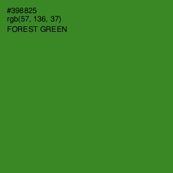 #398825 - Forest Green Color Image