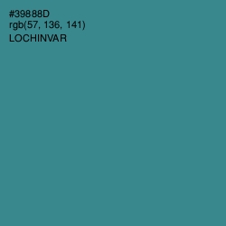 #39888D - Lochinvar Color Image