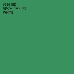 #39915D - Sea Green Color Image