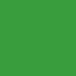 #399D3D - Forest Green Color Image