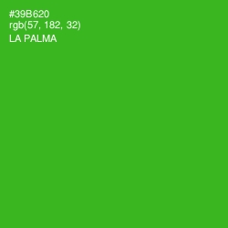 #39B620 - La Palma Color Image