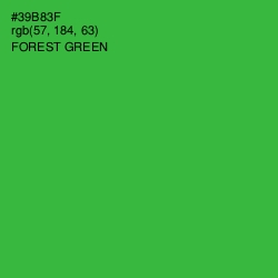 #39B83F - Forest Green Color Image