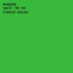 #39B93B - Forest Green Color Image