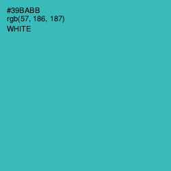 #39BABB - Pelorous Color Image