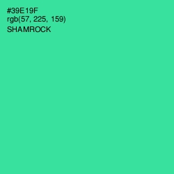 #39E19F - Shamrock Color Image