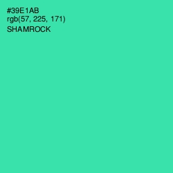 #39E1AB - Shamrock Color Image