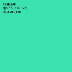 #39E2AF - Shamrock Color Image