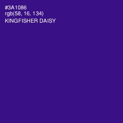 #3A1086 - Kingfisher Daisy Color Image