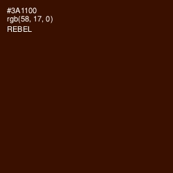 #3A1100 - Rebel Color Image