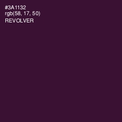 #3A1132 - Revolver Color Image