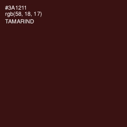 #3A1211 - Tamarind Color Image