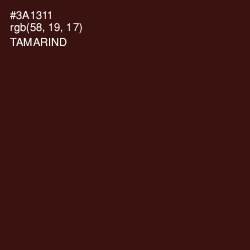 #3A1311 - Tamarind Color Image