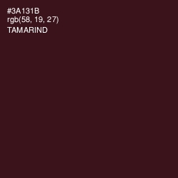 #3A131B - Tamarind Color Image