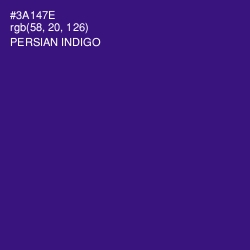 #3A147E - Persian Indigo Color Image