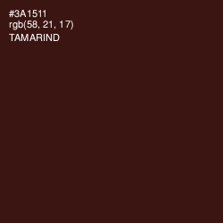 #3A1511 - Tamarind Color Image