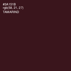 #3A151B - Tamarind Color Image