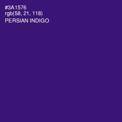 #3A1576 - Persian Indigo Color Image