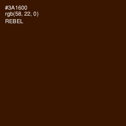 #3A1600 - Rebel Color Image