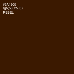 #3A1900 - Rebel Color Image