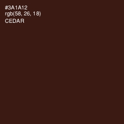 #3A1A12 - Cedar Color Image