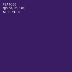 #3A1C65 - Meteorite Color Image