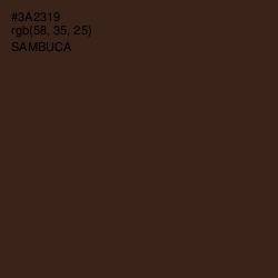 #3A2319 - Sambuca Color Image