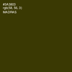 #3A3803 - Madras Color Image