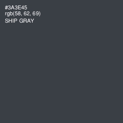 #3A3E45 - Ship Gray Color Image