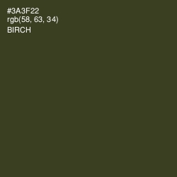 #3A3F22 - Birch Color Image