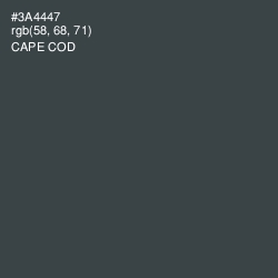 #3A4447 - Cape Cod Color Image