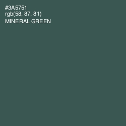 #3A5751 - Mineral Green Color Image