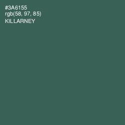 #3A6155 - Killarney Color Image