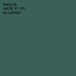 #3A6159 - Killarney Color Image