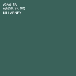 #3A615A - Killarney Color Image