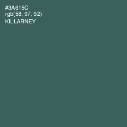 #3A615C - Killarney Color Image