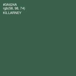 #3A624A - Killarney Color Image